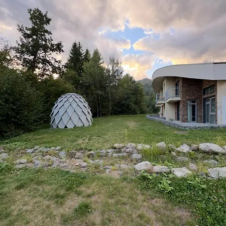 Evergreen Tale Bystra