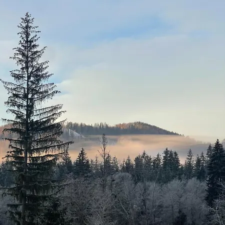 Evergreen Tale Bystra